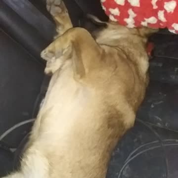 Sleeping like a baby