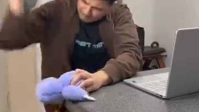 how to explain to a cat