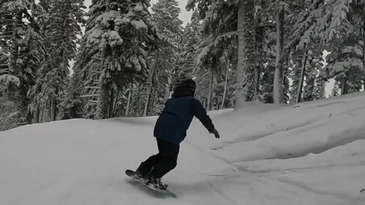 Fun Idaho Pow Day in November!!