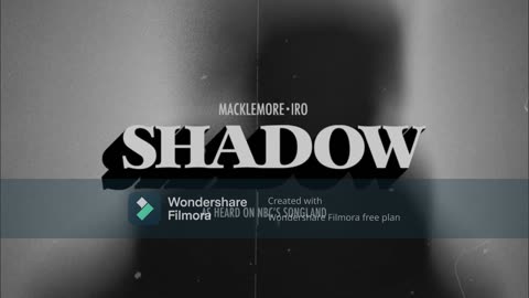 SHADOWS FLICKER