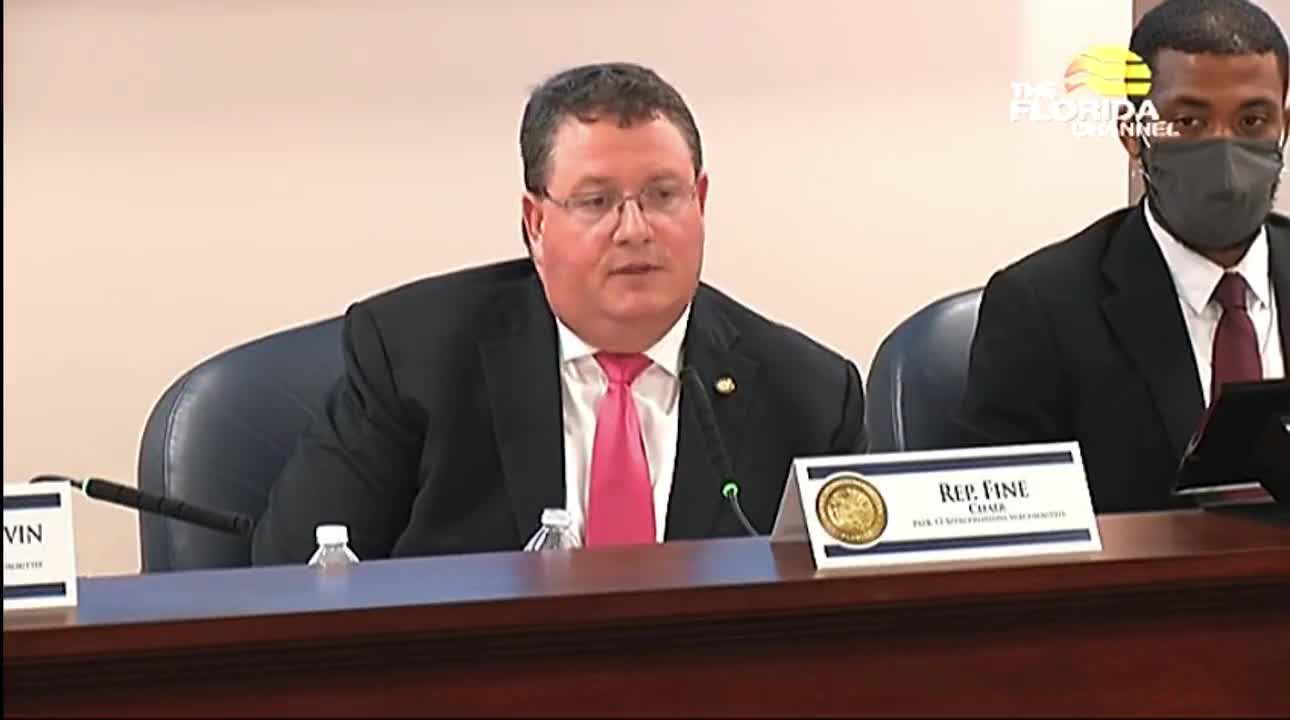 Florida Representative Randy Fine shares "mask abuse" story