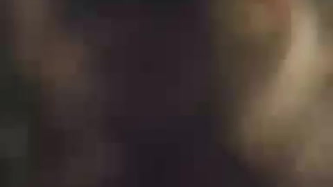 Jack the Irish wolfhound made this