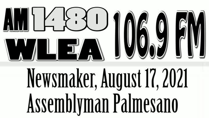 Newsmaker, August 17, 2021, Assemblyman Phil Palmesano