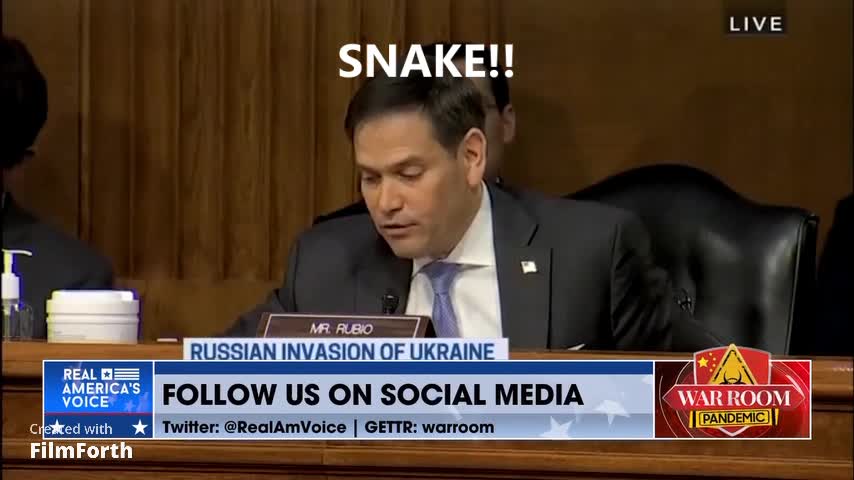 SNAKE! SNAKE! NO it's Not a RUSSIAN SQUIRREL, But a DEEPSTATE VIPER! 10 March 2022