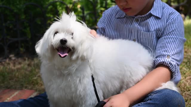 A boy with his dog