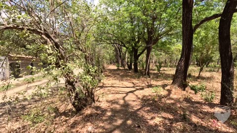 Sutiava Country Road Walk & Pulperia 🇳🇮 Nicaragua