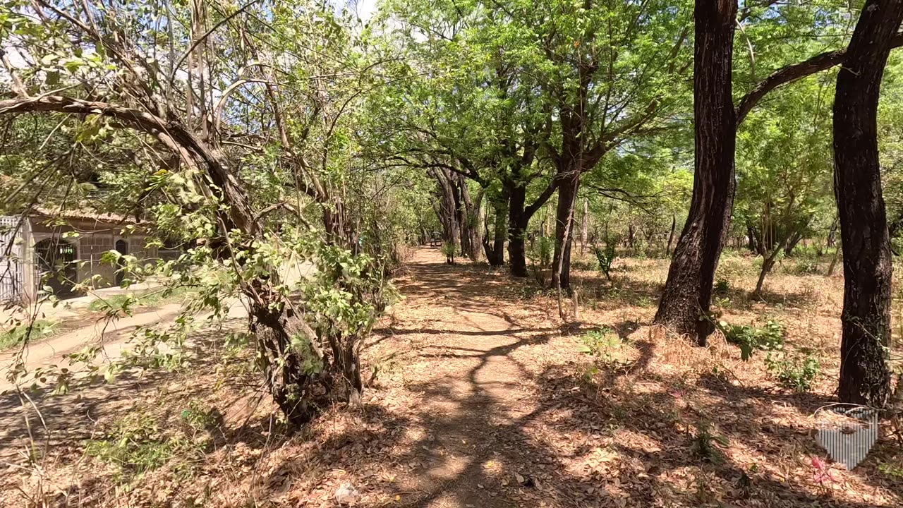 Sutiava Country Road Walk & Pulperia ๐ณ๐ฎ Nicaragua