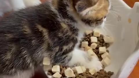 Mine, all mine!