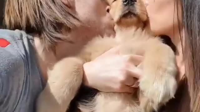 Lovely and kiss dog