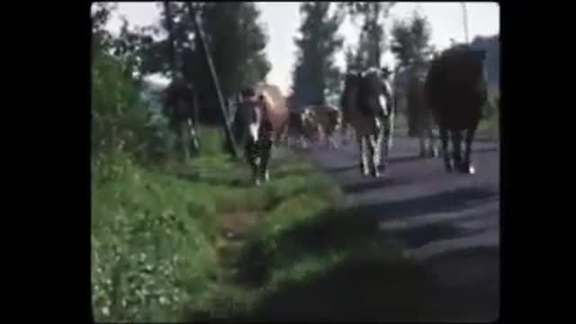 Boeren opstand jaren '70