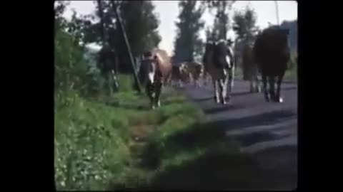 Boeren opstand jaren '70