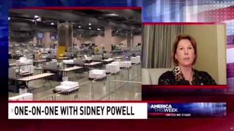 Sidney Powell on Voter Fraud