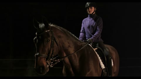 panning shot of horse and rider