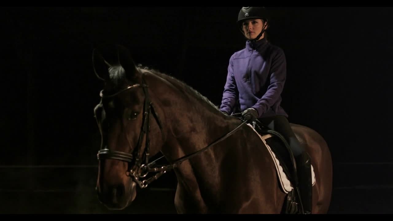 panning shot of horse and rider