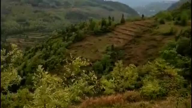 Let's climb the mountain together