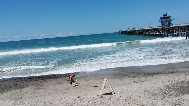 Along the Beaches of Southern California