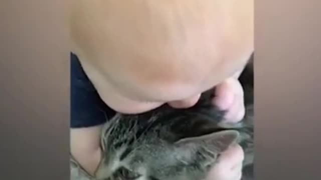 The Funniest video between baby and cats and try not to laugh if you can