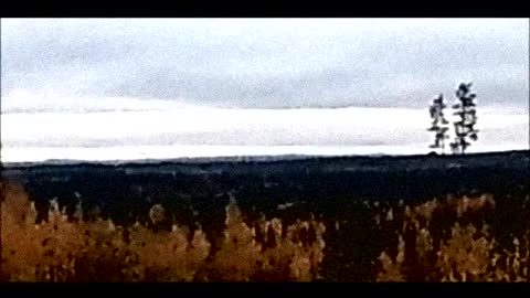 Ei onnea aina oo - Indy Angel