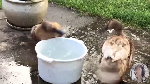 baby in water