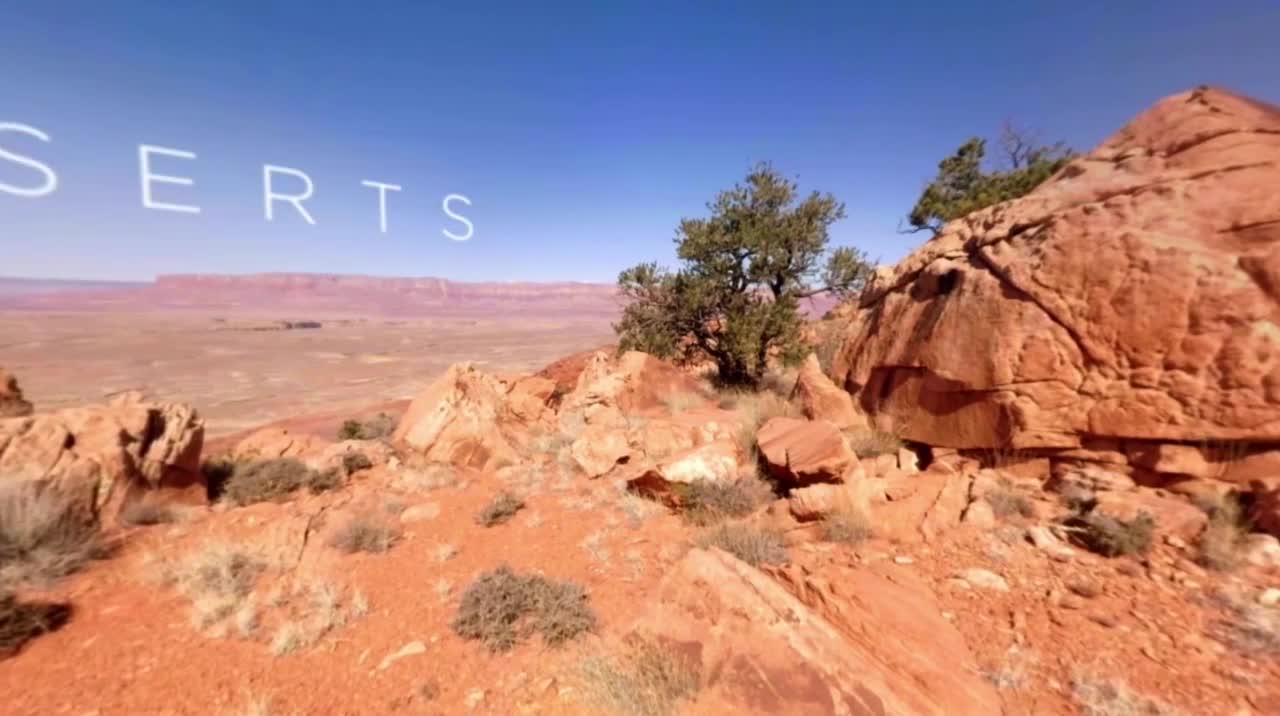 Beautiful Desert Canyons 360° | Planet Earth II | Deserts