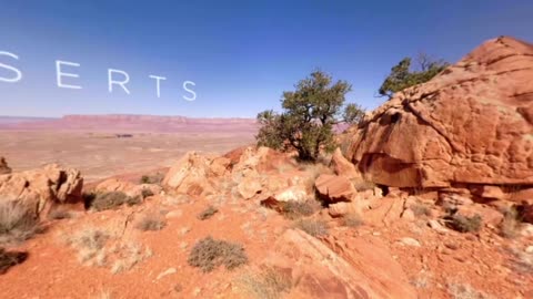 Beautiful Desert Canyons 360° | Planet Earth II | Deserts
