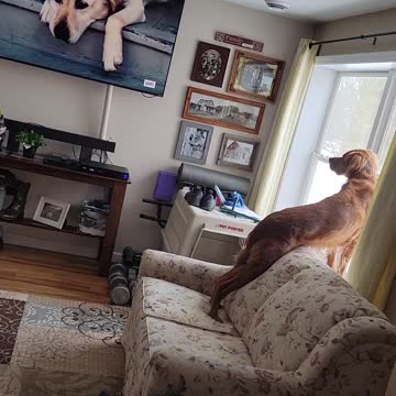 Winston Watches TV - Gran Torino