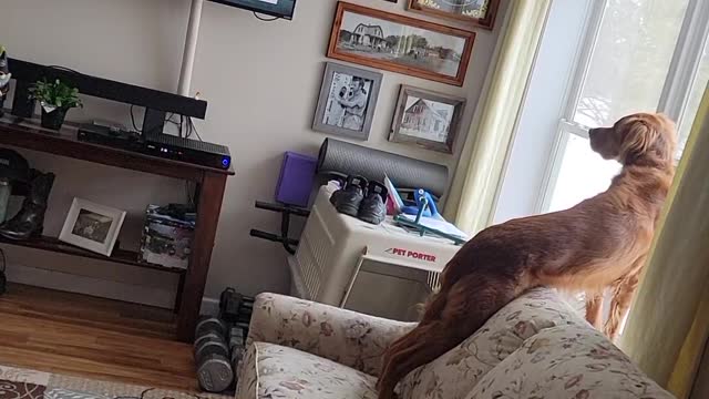 Winston Watches TV - Gran Torino