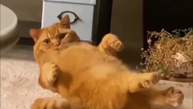 Zzzzzzzzz