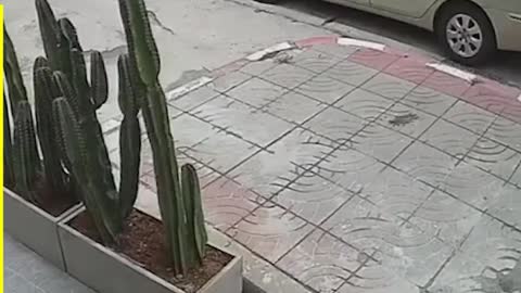 Glad no one got hurt!