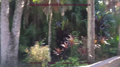 Botanical Gardens + Florida Institute of Technology + Melbourne + Florida + USA + EUA + Part 1/2