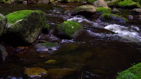 Wonderful waterfalls And calmness