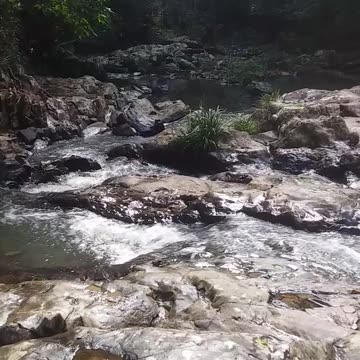 26.7.2024 Jum Rum Creek