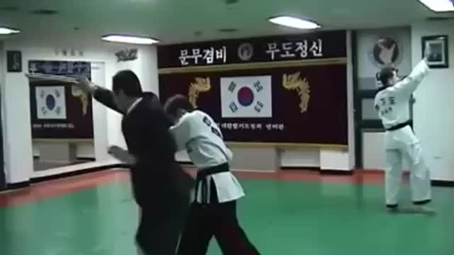 Hapkido (Grand Master Shin)