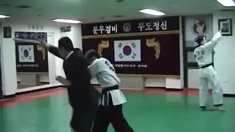 Hapkido (Grand Master Shin)