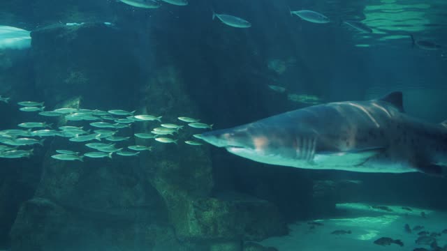 Beautiful view under water😍