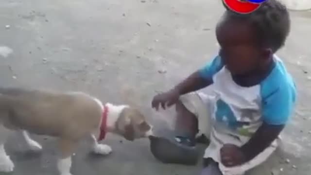 child bites a dog to defend