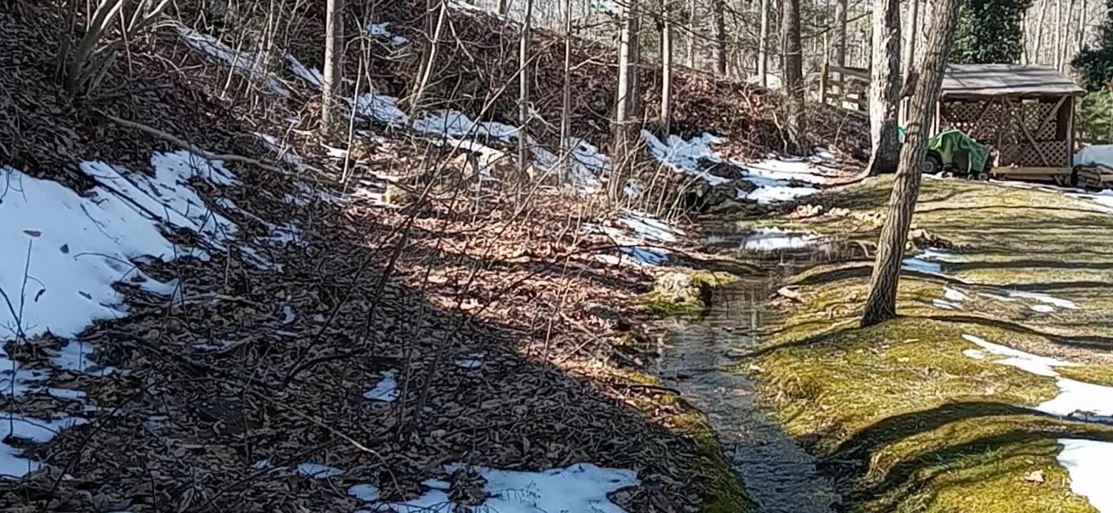 My Little Run Pond