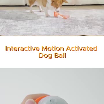 Interactive Dog Ball