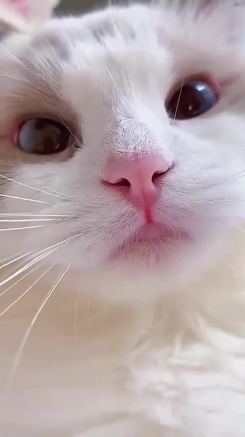 420's CLIP OF THE DAY JULY 31, 2024