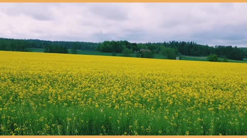 Beatifull village of Sweden