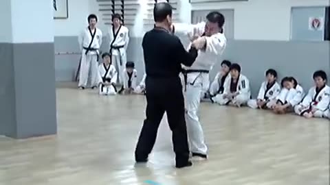 Hapkido