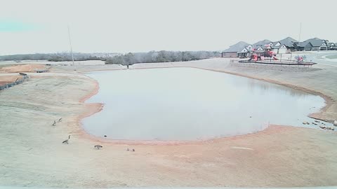 The Pond