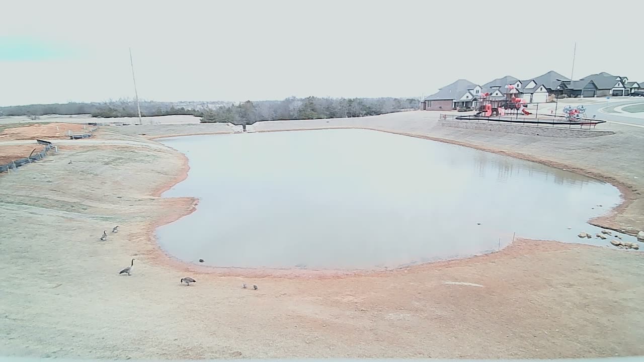 The Pond