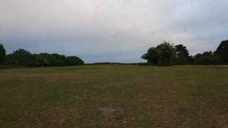 New forest timelapse. Uk