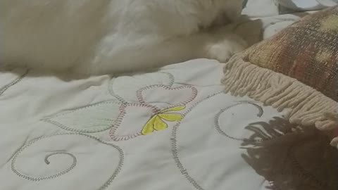 Ela ama um lápis ✏️