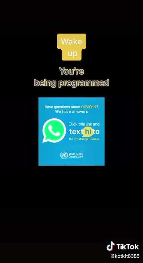 WAKE UP - YOU ARE BEING PROGRAMMED🐸