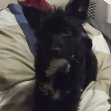 What's your pronoun? LOL