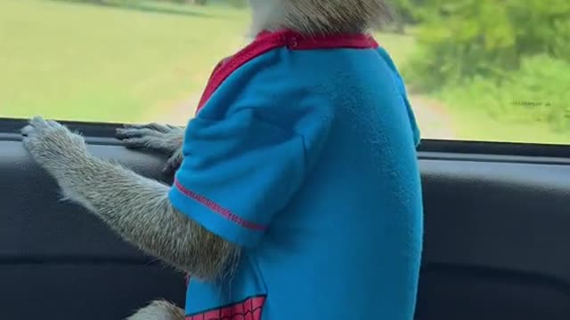 On my way to the store๐๐