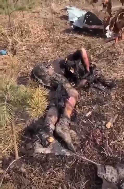 Dead and Mangled Russians Abandoned