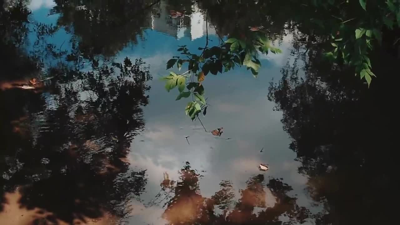 Reflection on a Lake Water